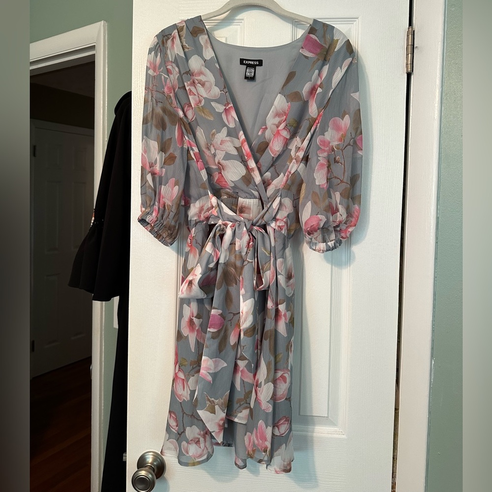 NWOT Large Express Dress